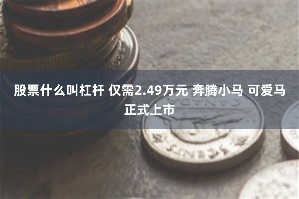 股票什么叫杠杆 仅需2.49万元 奔腾小马 可爱马正式上市