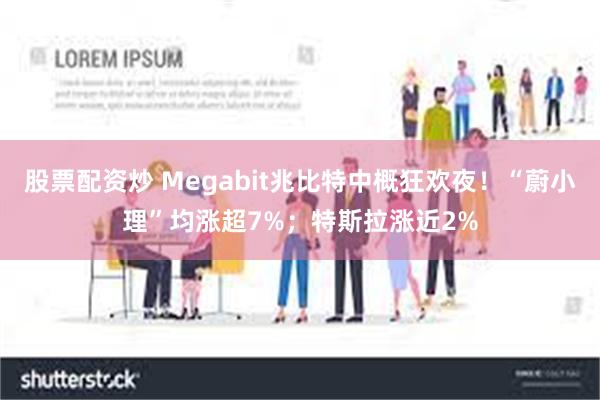 股票配资炒 Megabit兆比特中概狂欢夜！“蔚小理”均涨超7%；特斯拉涨近2%