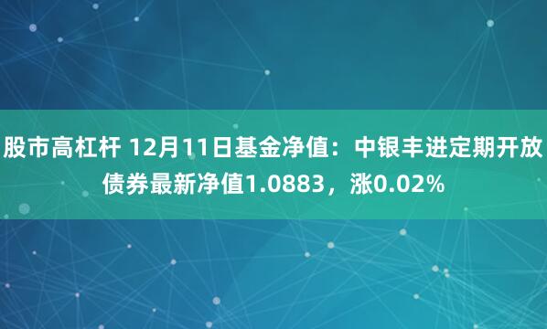 股市高杠杆 12月11日基金净值：中银丰进定期开放债券最新净值1.0883，涨0.02%