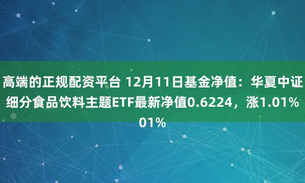 高端的正规配资平台 12月11日基金净值：华夏中证细分食品饮料主题ETF最新净值0.6224，涨1.01%