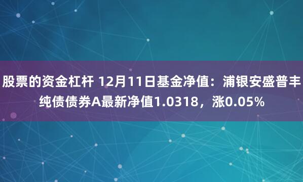 股票的资金杠杆 12月11日基金净值：浦银安盛普丰纯债债券A最新净值1.0318，涨0.05%