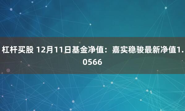 杠杆买股 12月11日基金净值：嘉实稳骏最新净值1.0566