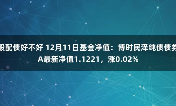 股配债好不好 12月11日基金净值：博时民泽纯债债券A最新净值1.1221，涨0.02%