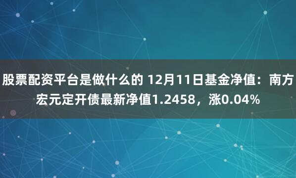 股票配资平台是做什么的 12月11日基金净值：南方宏元定开债最新净值1.2458，涨0.04%