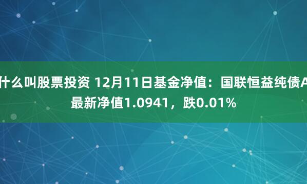 什么叫股票投资 12月11日基金净值：国联恒益纯债A最新净值1.0941，跌0.01%