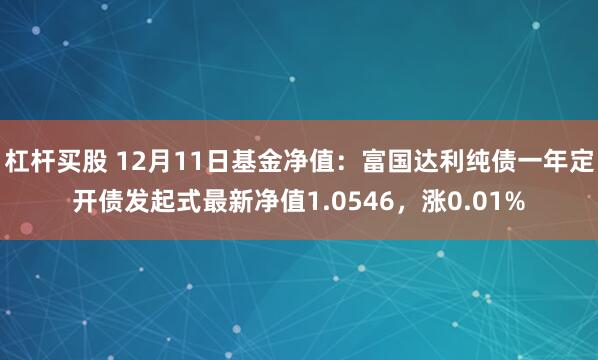 杠杆买股 12月11日基金净值：富国达利纯债一年定开债发起式最新净值1.0546，涨0.01%