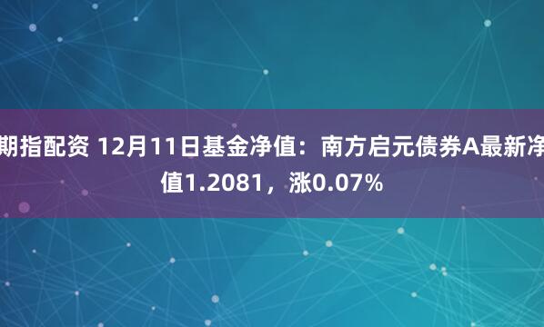 期指配资 12月11日基金净值：南方启元债券A最新净值1.2081，涨0.07%