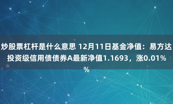 炒股票杠杆是什么意思 12月11日基金净值：易方达投资级信用债债券A最新净值1.1693，涨0.01%