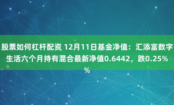 股票如何杠杆配资 12月11日基金净值：汇添富数字生活六个月持有混合最新净值0.6442，跌0.25%