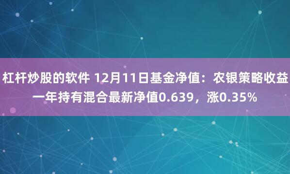 杠杆炒股的软件 12月11日基金净值：农银策略收益一年持有混合最新净值0.639，涨0.35%