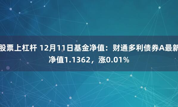 股票上杠杆 12月11日基金净值：财通多利债券A最新净值1.1362，涨0.01%