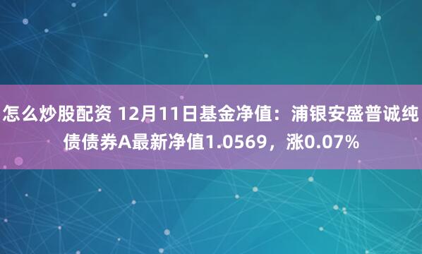 怎么炒股配资 12月11日基金净值：浦银安盛普诚纯债债券A最新净值1.0569，涨0.07%