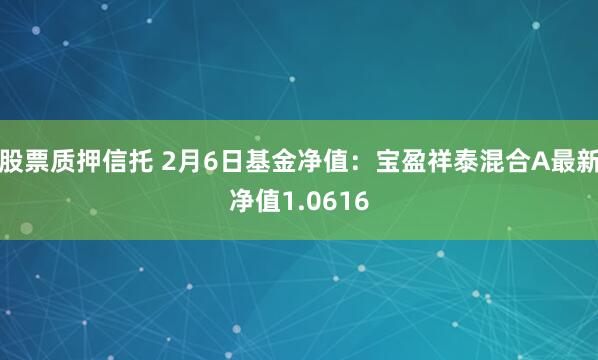 股票质押信托 2月6日基金净值：宝盈祥泰混合A最新净值1.0616