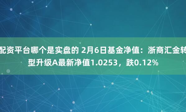 配资平台哪个是实盘的 2月6日基金净值：浙商汇金转型升级A最新净值1.0253，跌0.12%