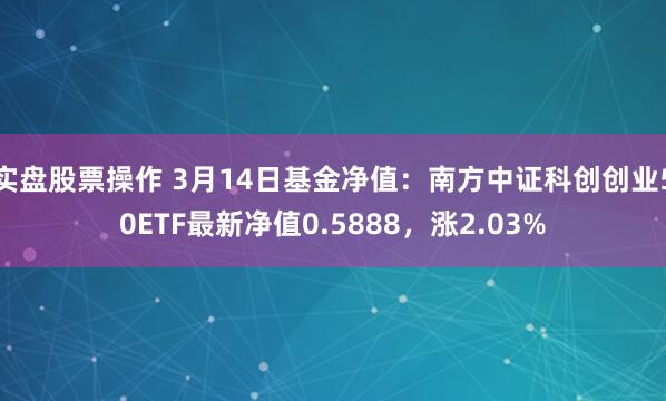 实盘股票操作 3月14日基金净值：南方中证科创创业50ETF最新净值0.5888，涨2.03%