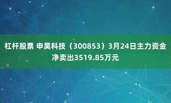 杠杆股票 申昊科技（300853）3月24日主力资金净卖出3